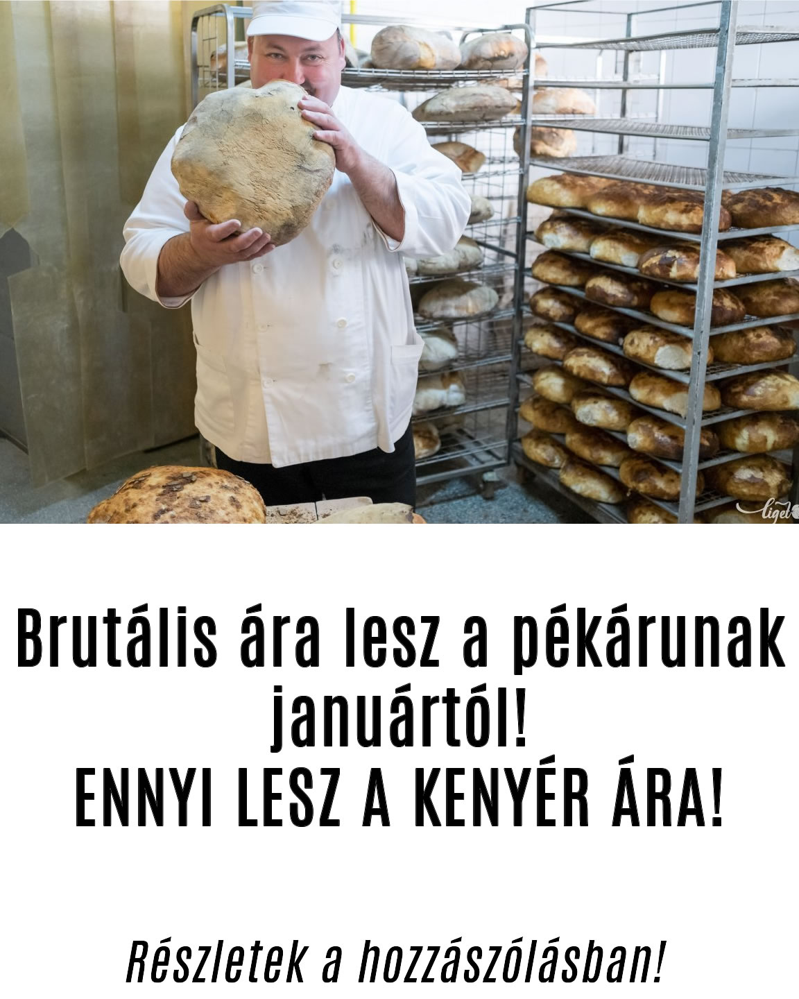 Brutális ára lesz a pékárunak januártól! ENNYI LESZ A KENYÉR ÁRA!