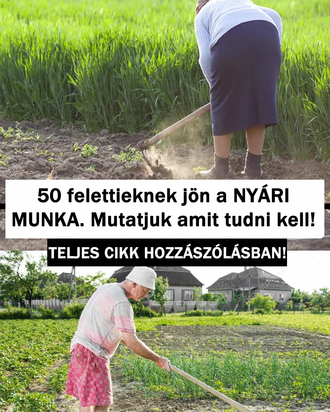 50 felettieknek jön a NYÁRI MUNKA. Mutatjuk amit tudni kell!