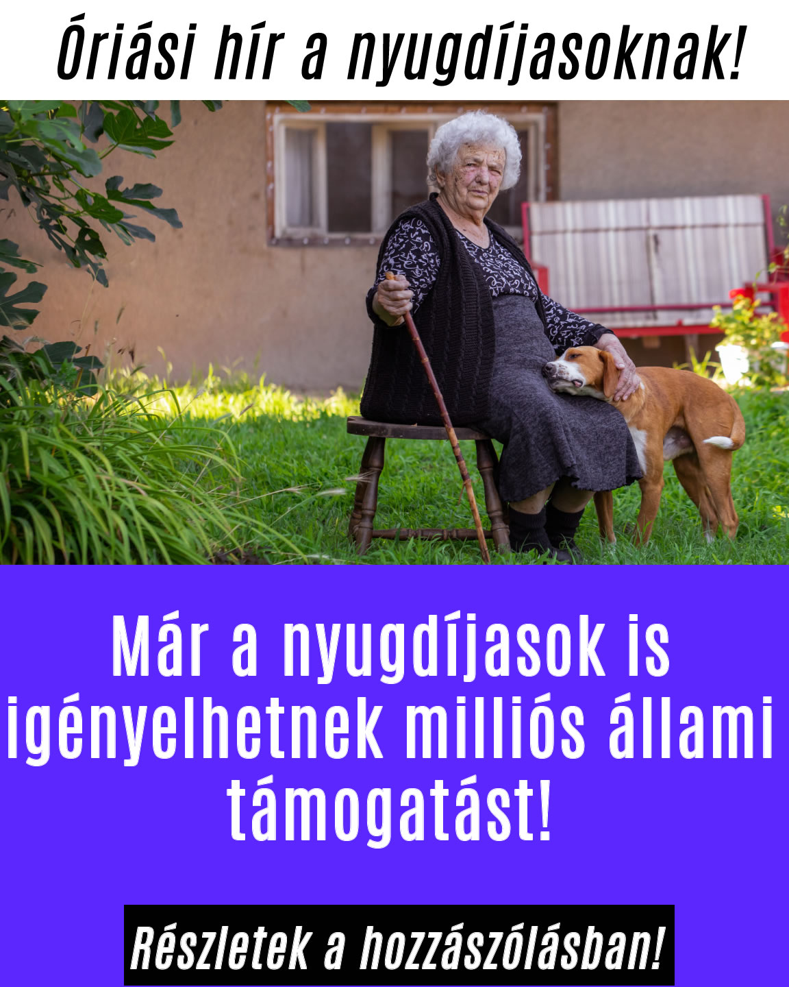 Már a nyugdíjasok is igényelhetnek milliós állami támogatást!