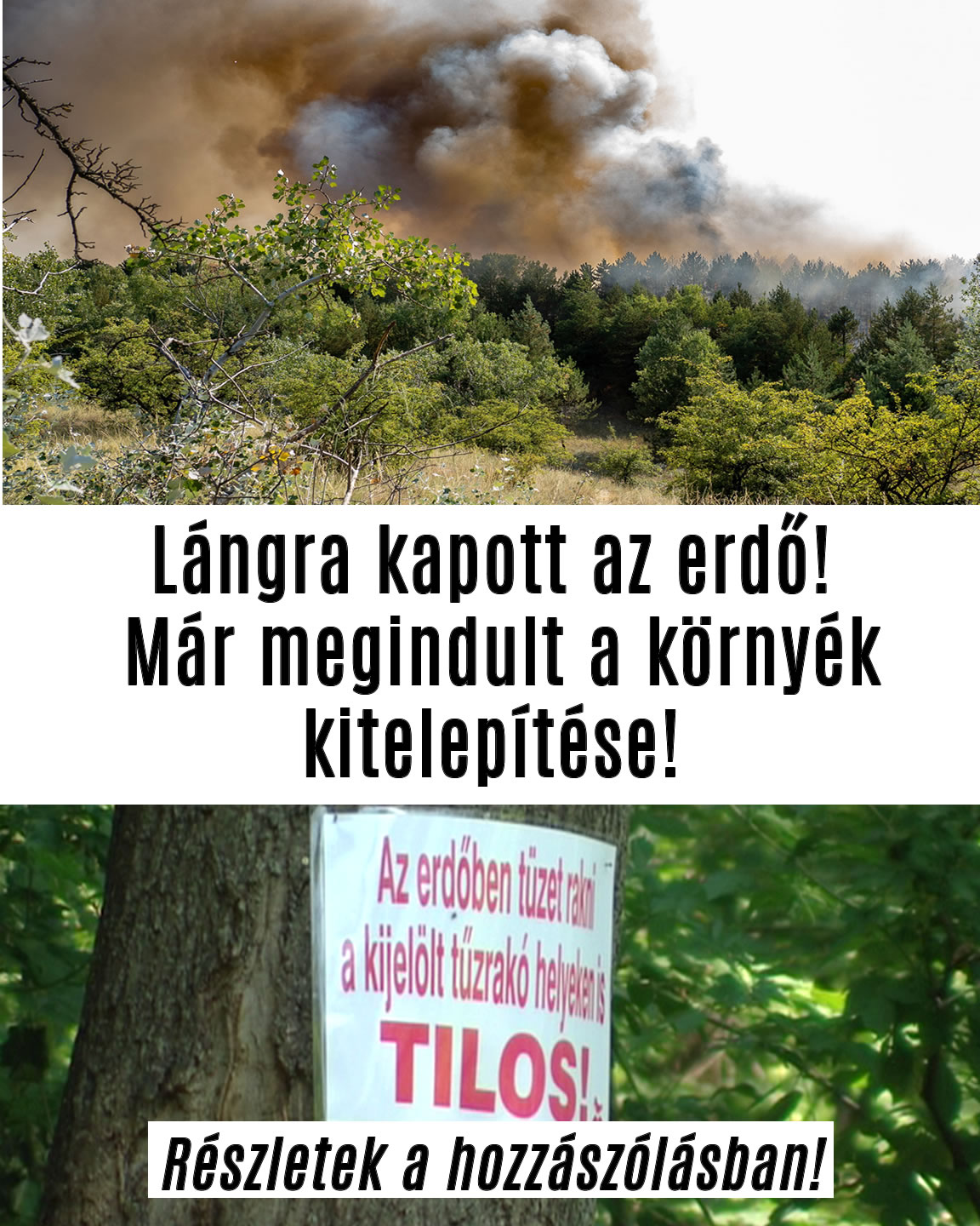 Lángra kapott az erdő! Már megindult a kitelepítés!