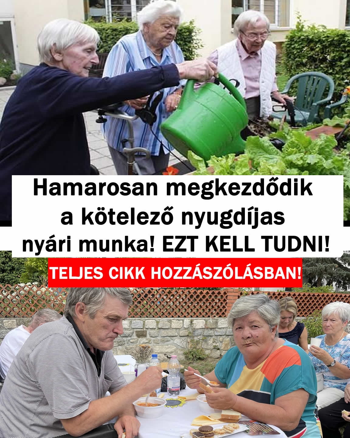 Hamarosan megkezdődik a kötelező nyugdíjas nyári munka!