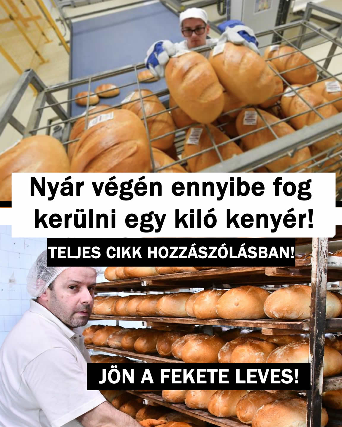 Nyár végén ennyibe fog kerülni egy kiló kenyér!