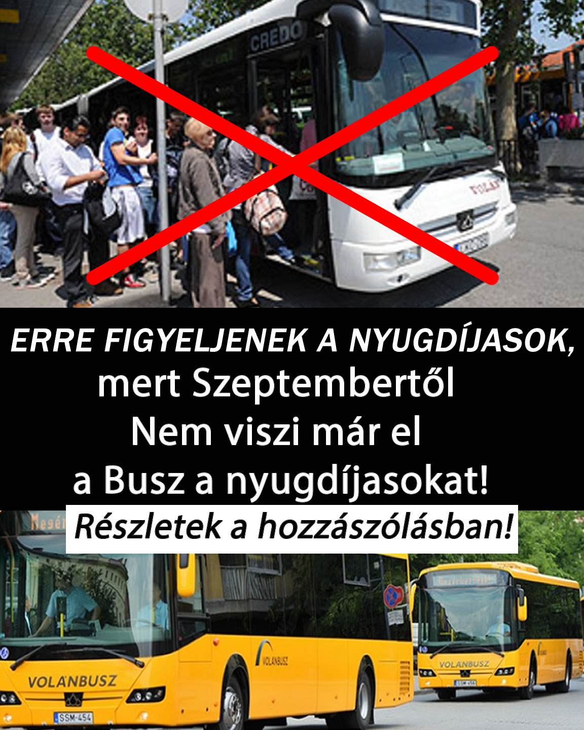 Nem viszi már el a Busz a nyugdíjasokat!