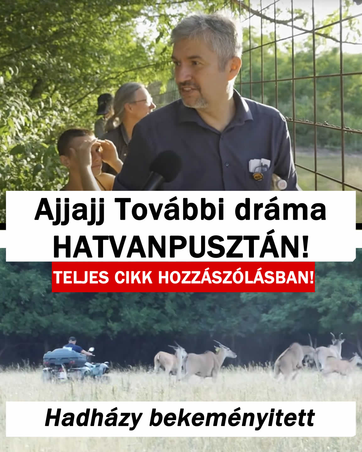Ajjajj 60PUSZTÁN! Brutális amit Hadházy felfedezett