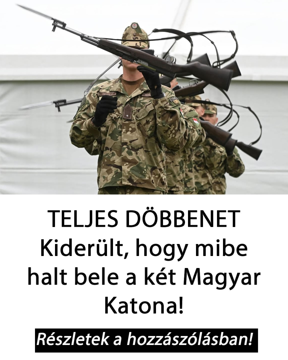 Ebbe halt meg a két Magyar Katona!