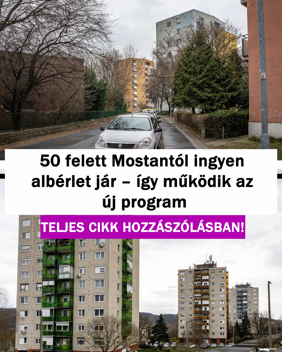 50 felett ingyen albérlet jár – így működik