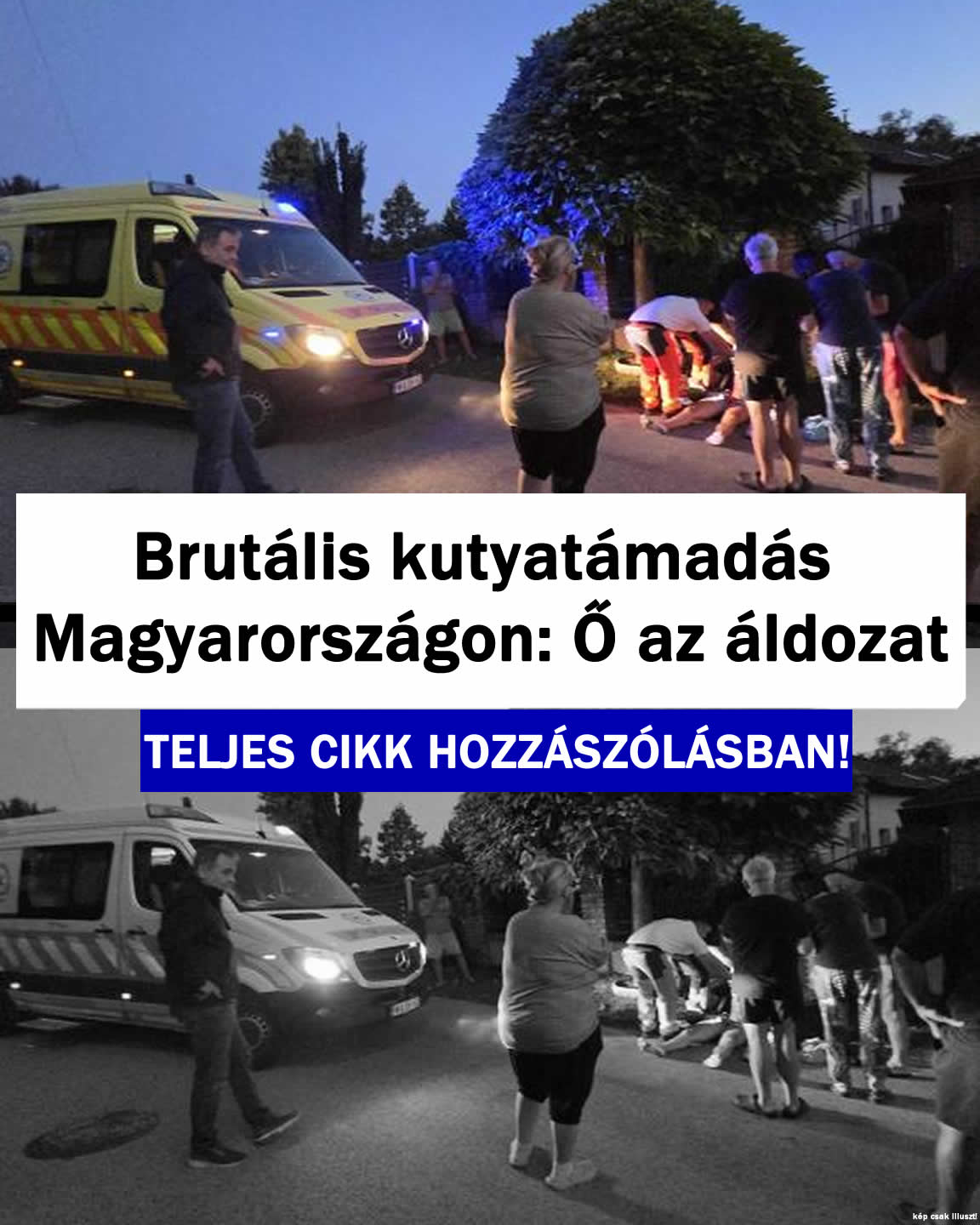 Brutális kutyatá/adás Magyarországon: Ő az áldozat
