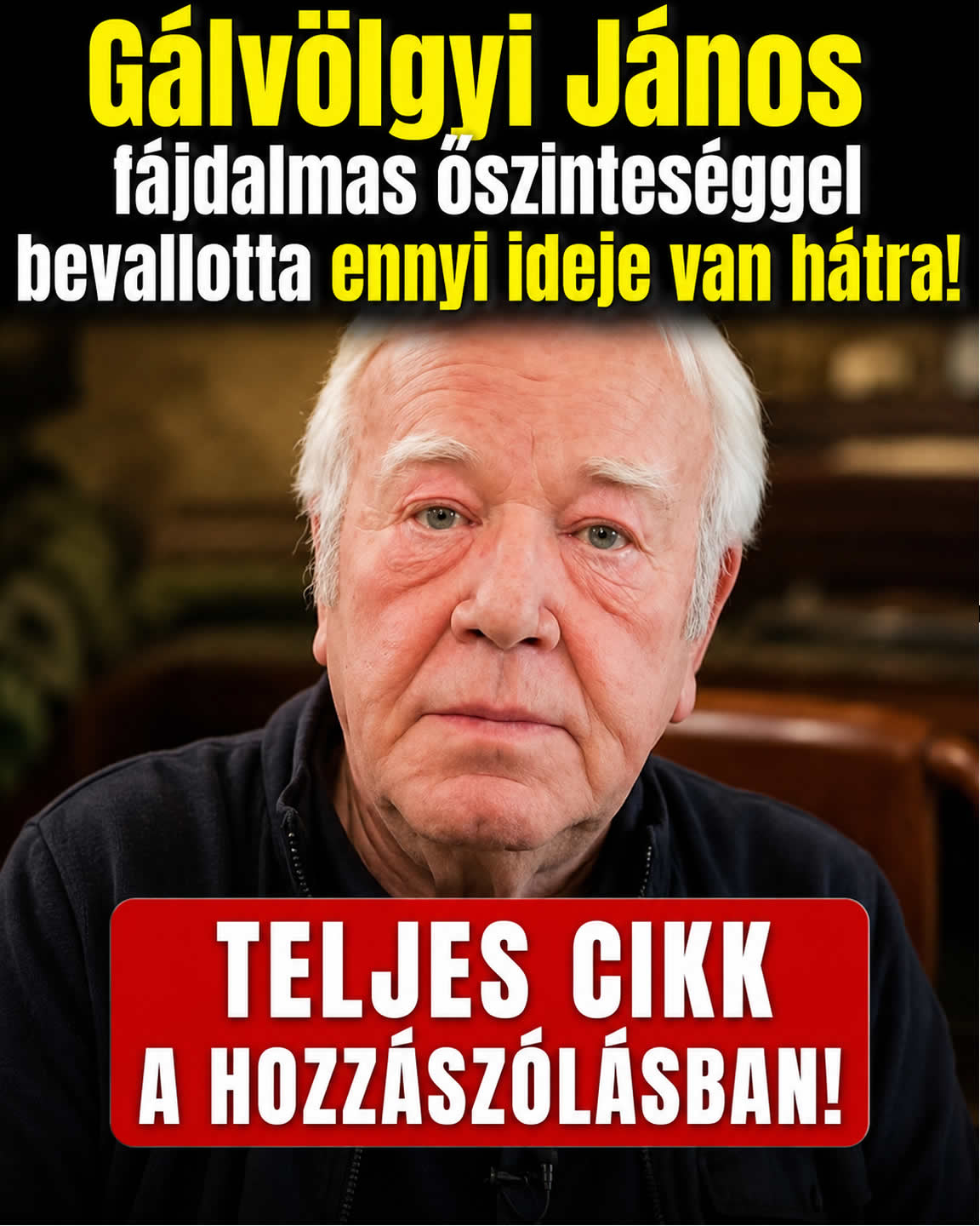 Gálvölgyi János fájdalmas őszinteséggel