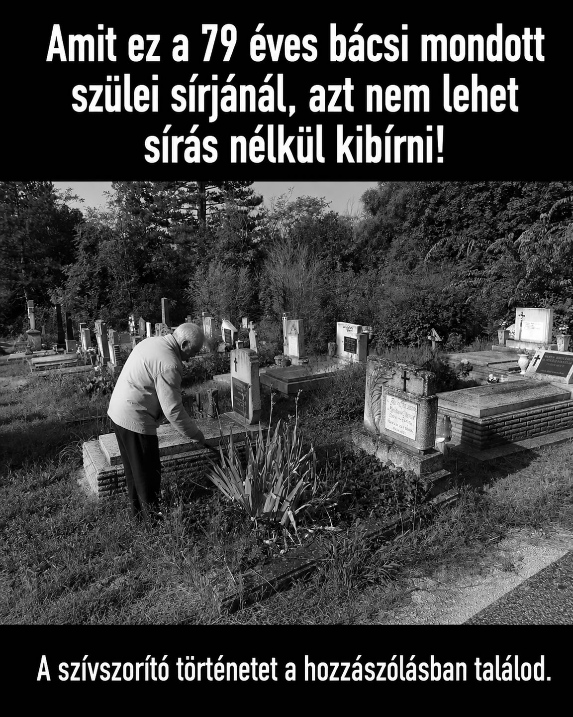 Amit ez a 79 éves bácsi mondott