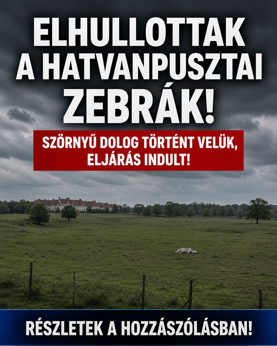 Elhullottak a Hatvanpusztai zebrák