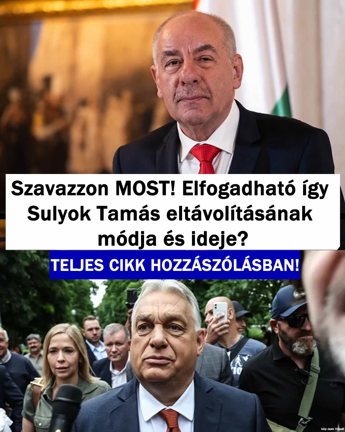 Szavazzon: Helyes Sulyok Tamás eltávolításának a módja?