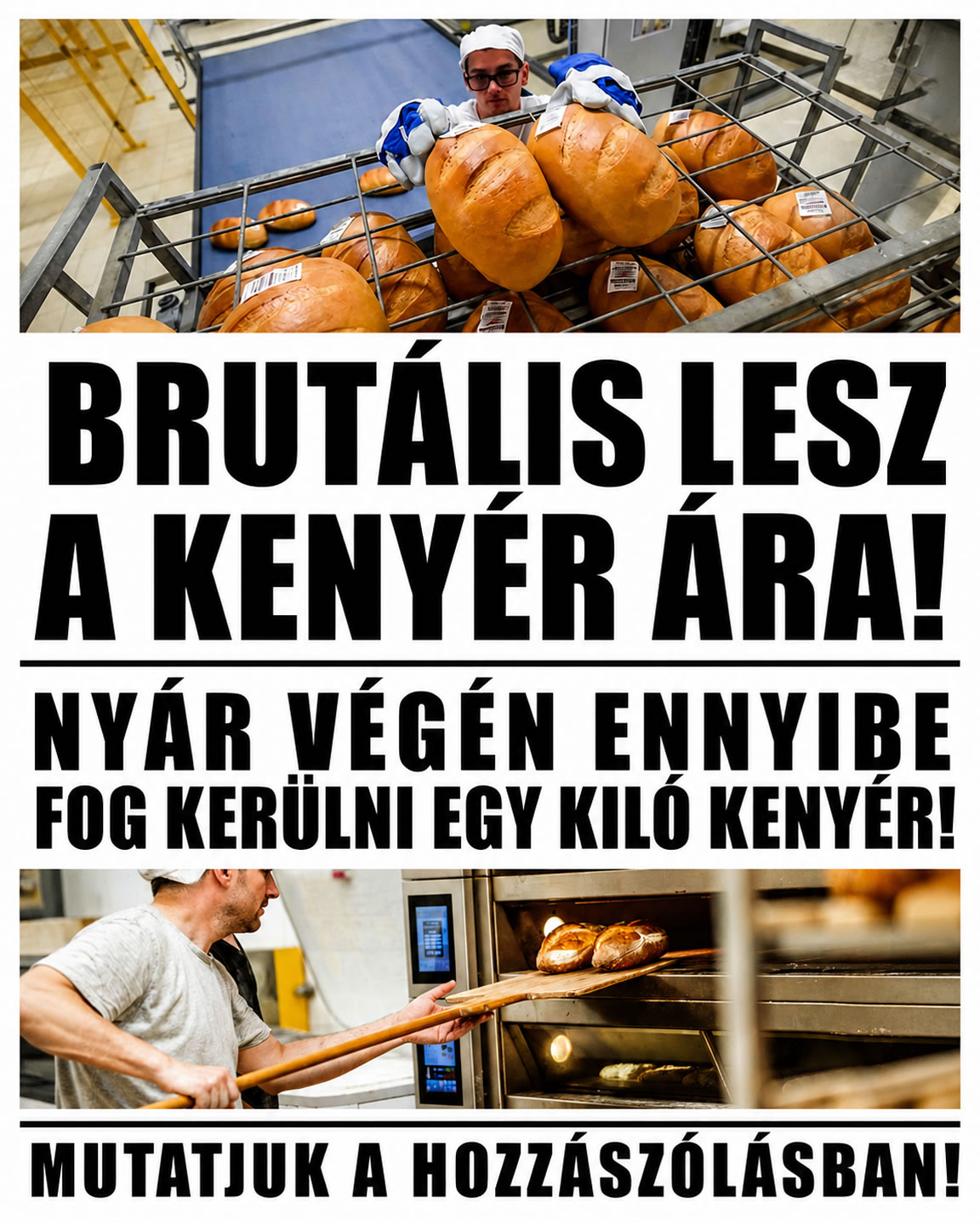 Brutális lesz a kenyér ára