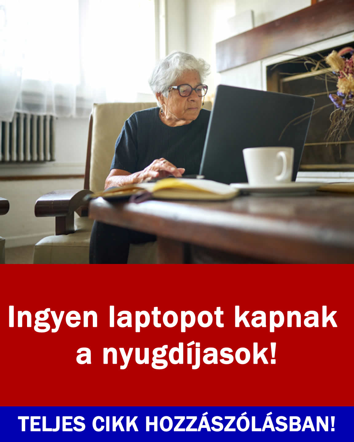 Ingyen laptopot kapnak a nyugdíjasok